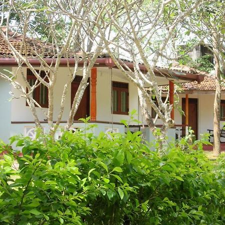 Calm Garden Cabanas Тангале Екстериор снимка