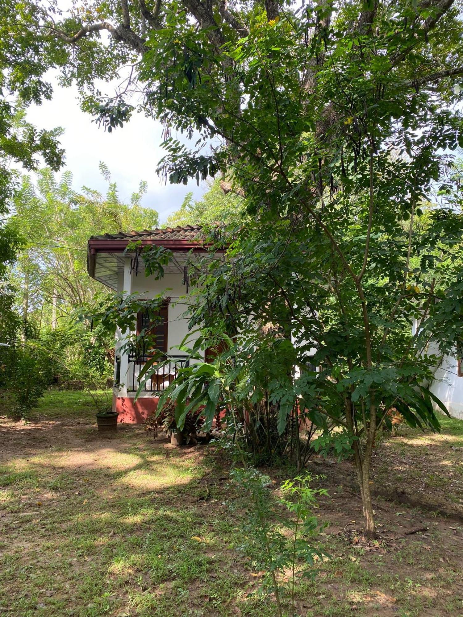 Calm Garden Cabanas Тангале Екстериор снимка