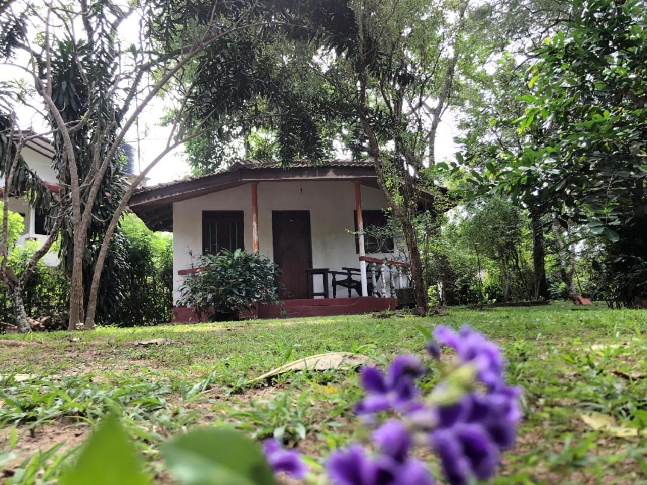 Calm Garden Cabanas Тангале Екстериор снимка