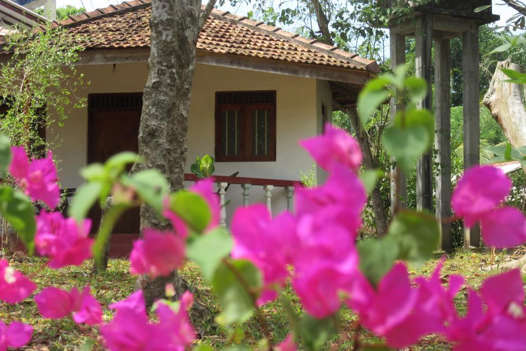 Calm Garden Cabanas Тангале Екстериор снимка