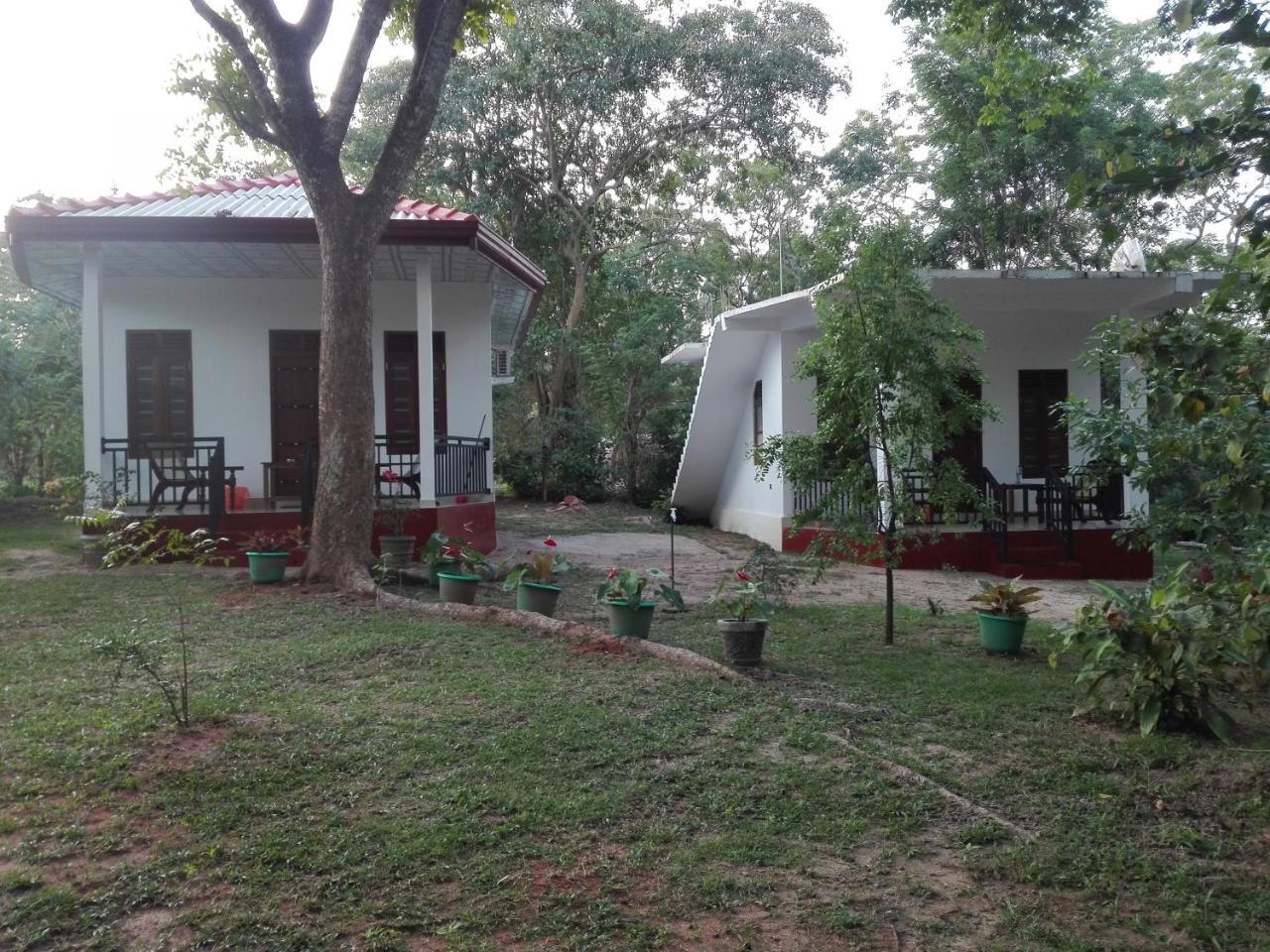 Calm Garden Cabanas Тангале Екстериор снимка